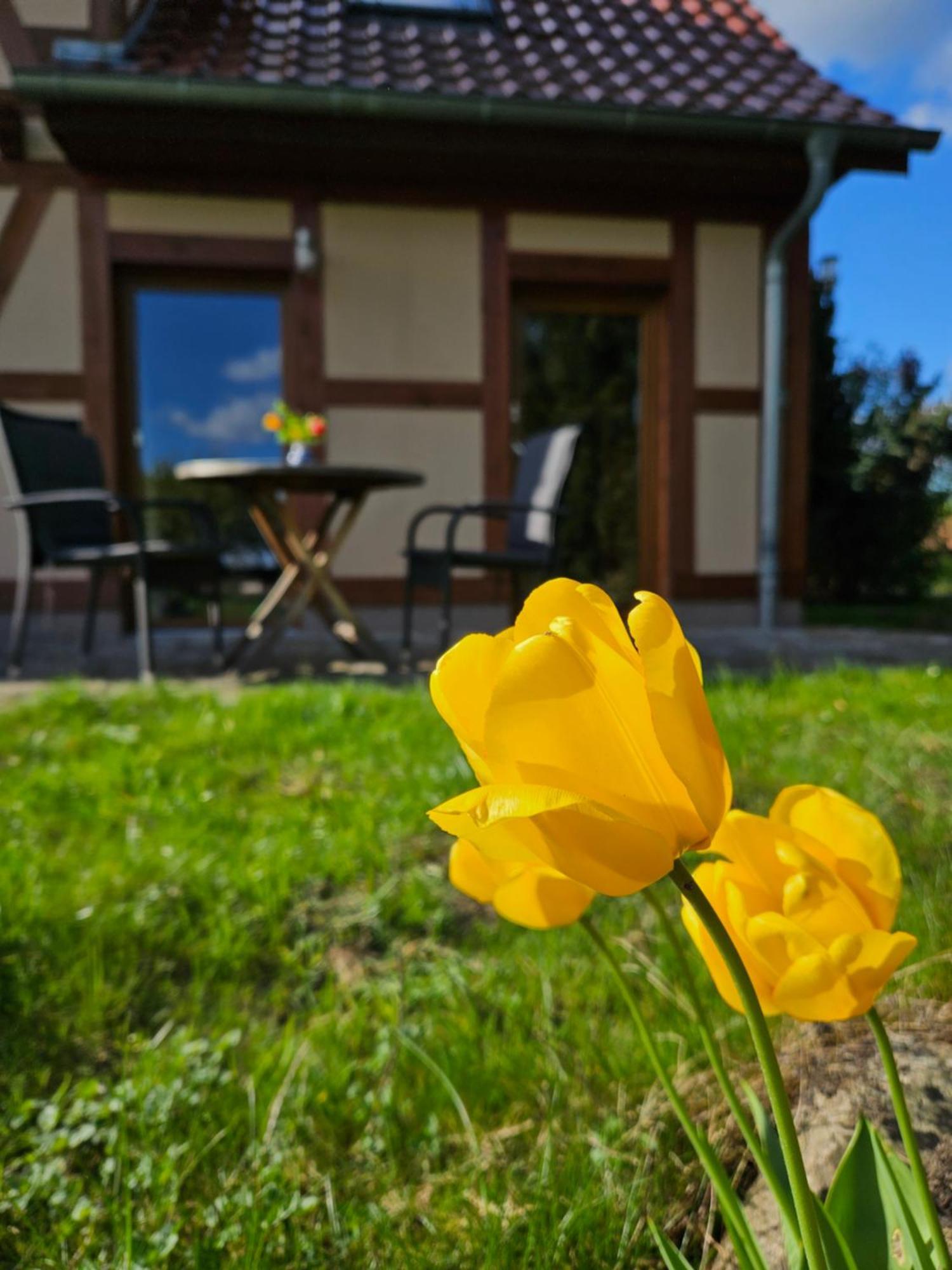 Ferienwohnung Peetsch Am See 米罗 外观 照片