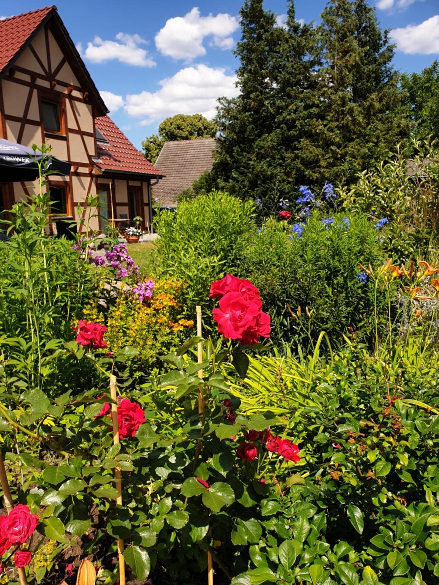 Ferienwohnung Peetsch Am See 米罗 外观 照片