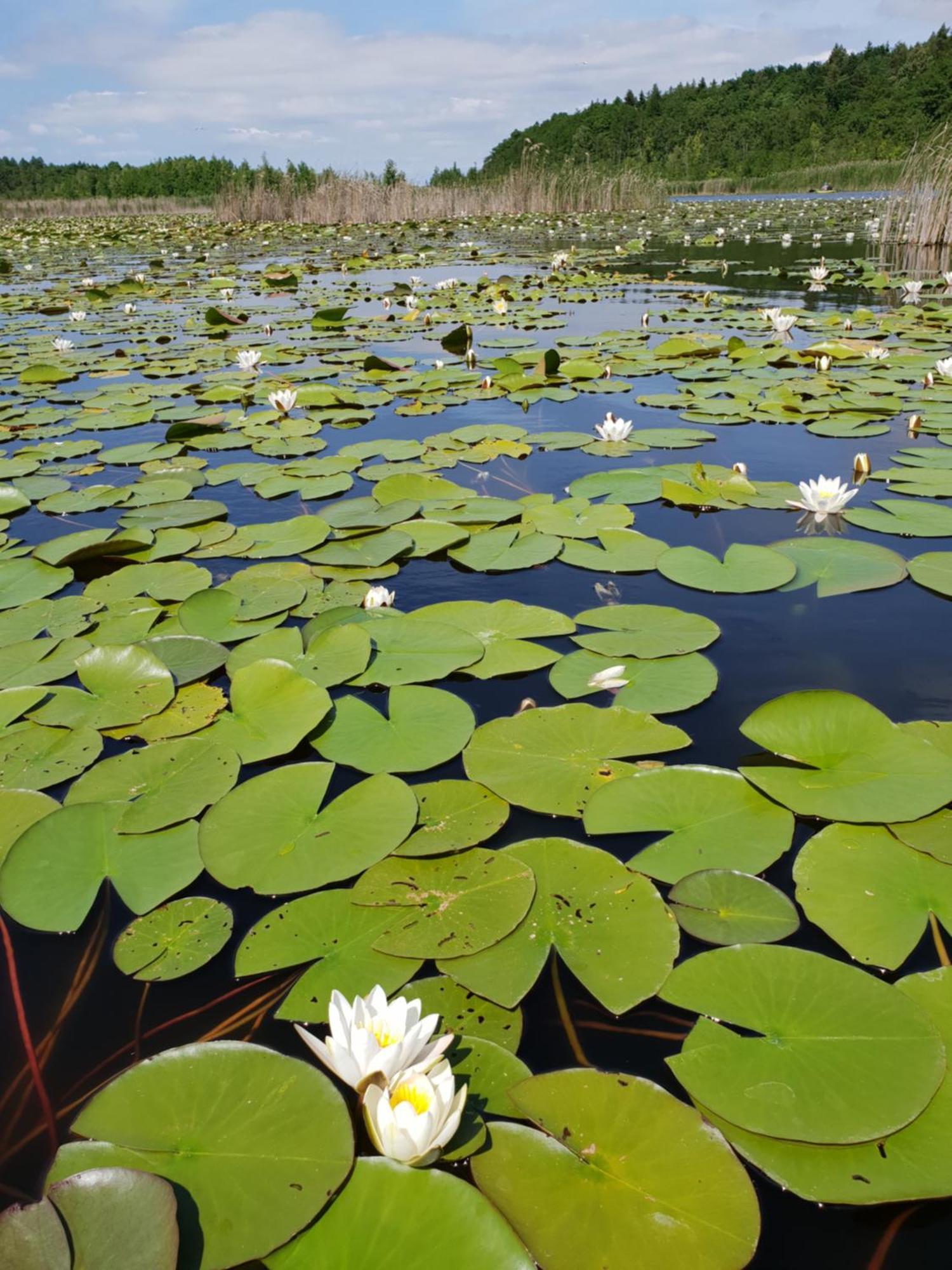 Ferienwohnung Peetsch Am See 米罗 外观 照片